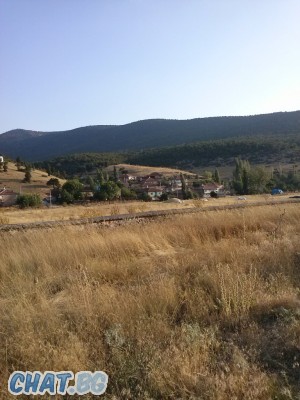 ALİŞ