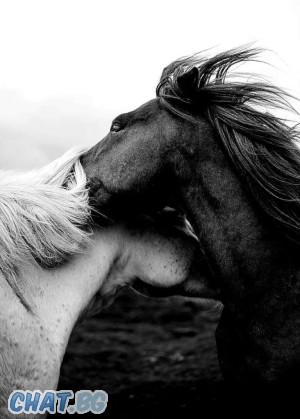 Fire in The Sky(Heart)'