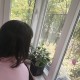 Грахче