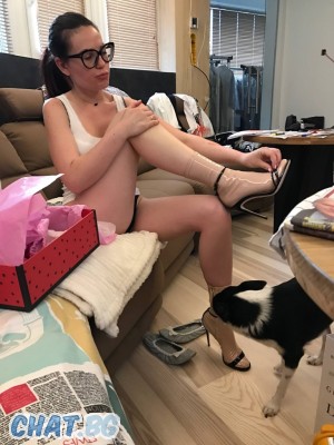petq_82