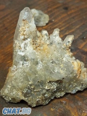 Hari