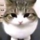 NqkvoIme