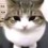 NqkvoIme